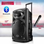 Rechargeable Bluetooth Karaoke Trolley Speaker