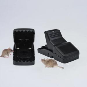 Mouse Killer Trap (5×3×3 inches)